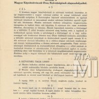 Demeczkyné Wolf Irma felvétele a Magyar Képzőművészek Országos Szövetségébe